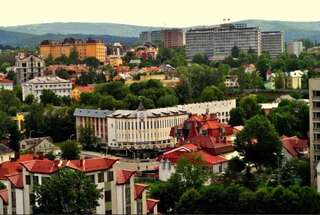 Апартаменты Apartments in the center Трускавец Апартаменты-студио-28