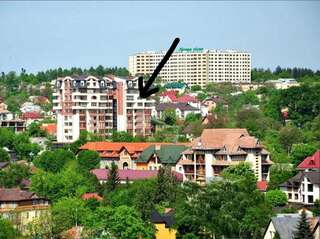 Апартаменты Apartments in the center Трускавец Апартаменты-студио-30