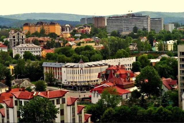 Апартаменты Apartments in the center Трускавец-30