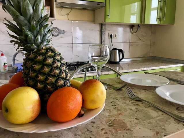 Апартаменты Apartments in the center Трускавец-96